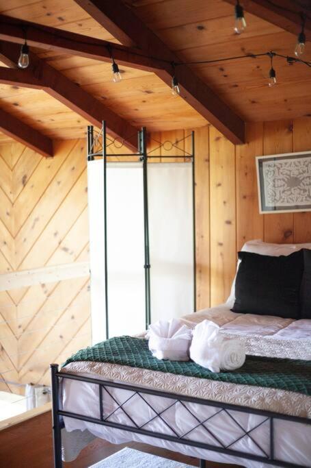 Family Cabin Near Smoky Mtn Entrance Nantahala Robbinsville Eksteriør billede